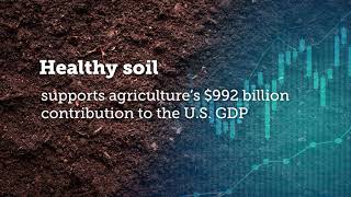 Honor and Support Soil Health Professionals on Soil Health Day on June 23