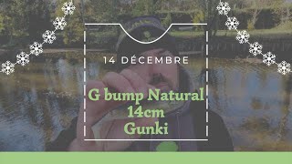 L'ADVENT'LURES 3,5.6" 14 Décembre: Gbump natural skin 14cm - Gunki