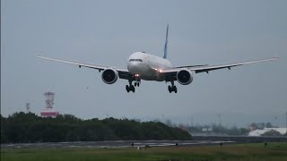 Garuda Indonesia Boeing 777-300ER Landing di Bandara Ngurah Rai Bali