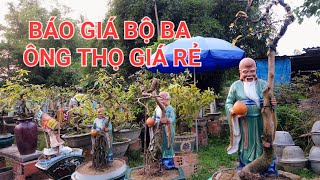 Báo giá mai vàng Bình Định. lh: 0962663012