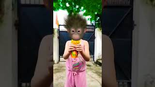 chin tapak dum dum monkey baby funny video🐵🧃🍼🍌😂😅🤣🥳 #bandar #funny #monkeymonkey  #aaryavnaagar #fun