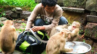 Morning video 8 31 2023 I go feed monkey at Sovana home