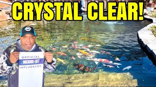 How to Keep your Pond Pristine, Clean Healthy & Crystal Clear all Year!