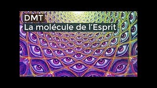 Diméthyltryptamine DMT La Molécule de lesprit Documentaire français 2016