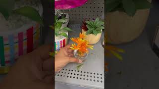 Walmart fake plants on a Rollbacks #shorts #youtubeshorts #homedecor #walmart #walmartclearance