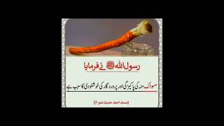 miswak monkey#islamicvideo#short#حدیث مبارکہ