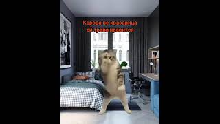 попробуй выучи (звук- Kikkadim) #мем #рек #shortsyoutube #подпишись