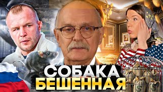 СРОЧНО! ВОР В РОССИИ ПОЙМАН / МИХАЛКОВ БЕСОГОН / ШЛЕМЕНКО / ОКСАНА КРАВЦОВА @oksanakravtsova