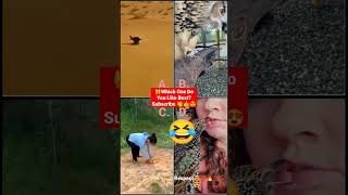 Respect Tiktok videos | Respect videos Like a Boss | New 2022 Respect Tiktok | Like boss compilation