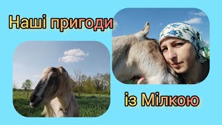 Слава Богу, все позаду. Мілка іде на поправку. Спасибі всим за підтримку