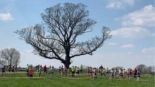 Cheshire xc ladies race