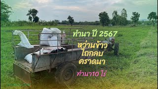 ทำนา ปี 2567