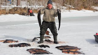 Финальный день Чумовой рыбалки с Fishing Karelia