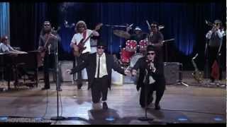 The Blues Brothers - Everybody Needs Somebody To Love