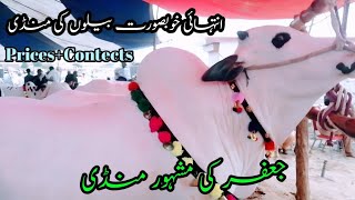 |Famous Jaffar mandi |Latest mandi rates 2022 | |Abid Mehmood Official