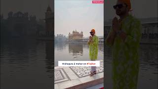 Tejasswi Prakash & Karan Kundrra seeking blessings at GOLDEN TEMPLE🙏❤️ #shorts #tv #ytshorts