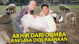 AKHIR DARI DOMBA RAKSASA DIQURBANKAN! ISTRIKU IKUT MENYAKSIKAN! IDUL ADHA 2024