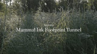 Wild Things - Tutorial 9 - Mammal Ink Footprint Tunnels