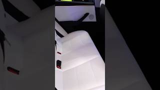 New Tesla Model 3 rear seat comfort