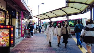 Tokyo Day Walk - Ogikubo, Japan【4K HDR】