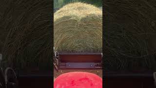 Yanmar 424 big round bales #yanmar #haybale