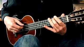 LANIKAI LU-8E | 8-String-Ukulele-Demo Part 2 - Fingerstyle-Song