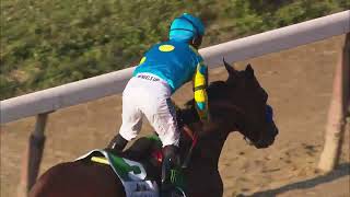 Larry Collmus on American Pharoah