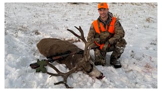 (STORYTIME) 4 Mule deer tags filled in 3 days and one is a true giant !