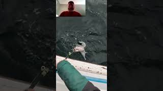 DO NOT DO THIS #fishing #fail #jigging #pollock #cod