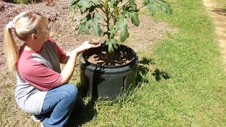 Garden hack using washer and dryer tubs!