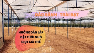 CÁCH LẮP ĐẶT HỆ THỐNG TƯỚI NHỎ GIỌT GIÁ THỂ - ĐÀO RÃNH, TRẢI BẠT