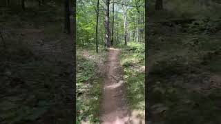 Mountain Biking through the woods #mtb #mtblife #mountainbiking #singletrack #nature #outdoors