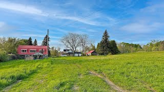 6219 Shearer Point Rd, Roseneath