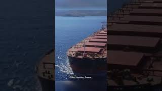 Bulk Carrier ship •