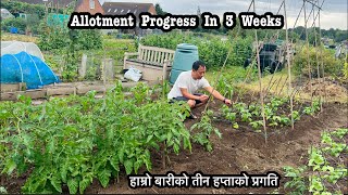 Allotment Progress in 3 weeks | allotment Update & Tour | Nepali Gardening vlog | Nepali Family UK