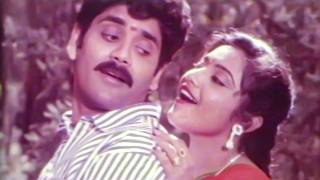 Aa Oddu Ee Oddu Video Song | President Gari Pellam Movie | Nagarjuna, Meena | VolgaMusicBox