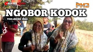 Super pmj 100% asli // NGOBOR KODOK voc mimi das. show di dsn kandang sapi Desa bugis tua