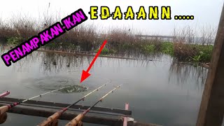 MANCING CIRATA-EDAANN SEKALI