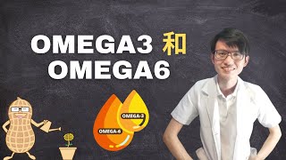 Omega-3和 omega-6 从何获取？ Omega-3和 omega-6的健康比率是多少？|【Omega】花生健康医药 EP18