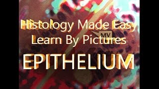 Histology Made Easy: Epithelium (Learn By Pictures)