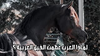 لماذا العرب عظموا الخيل العربية | حمد اللاحم