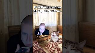 😂МЕЛСТРОЙ МЕМ😂 #Мем #Мелстроймем #Реки #ДоКонца #Рекомендации #shorts