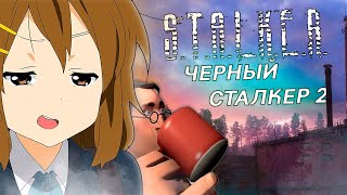 ПОИГРАЛ за ВАС в STALKER Черный Сталкер 2 | S.T.A.L.K.E.R. Черный Сталкер 2