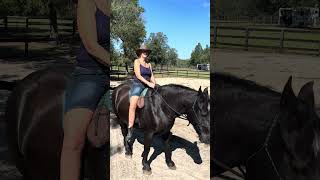 Riding Balanced Bitless & Bareback, Part I - mind-body awareness