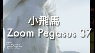 走過37個年頭『Zoom Pegasus 37』這裡開箱給您看/跑鞋評測/跑鞋開箱/JerryBryant