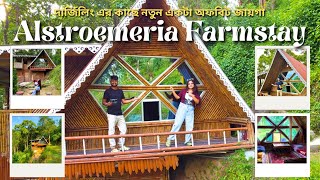 Darjeeling এর কাছে নতুন একটা Offbeat জায়গা | Alstroemeria Farmstay | Offbeat places in North Bengal