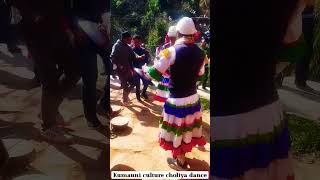 pahadi song kumauni culture pahadidance choliya#viral #ytshorts #pahadi