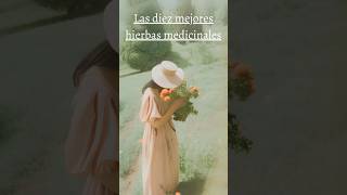 Las Diez Mejores Plantas Medicinales #salud