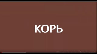 ЗАЩИТИТЕСЬ ОТ КОРИ! СДЕЛАЙТЕ ПРИВИВКУ