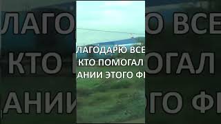 Конец путешествия в зоопарк Сказка #велесмастер #животные #зоопарк